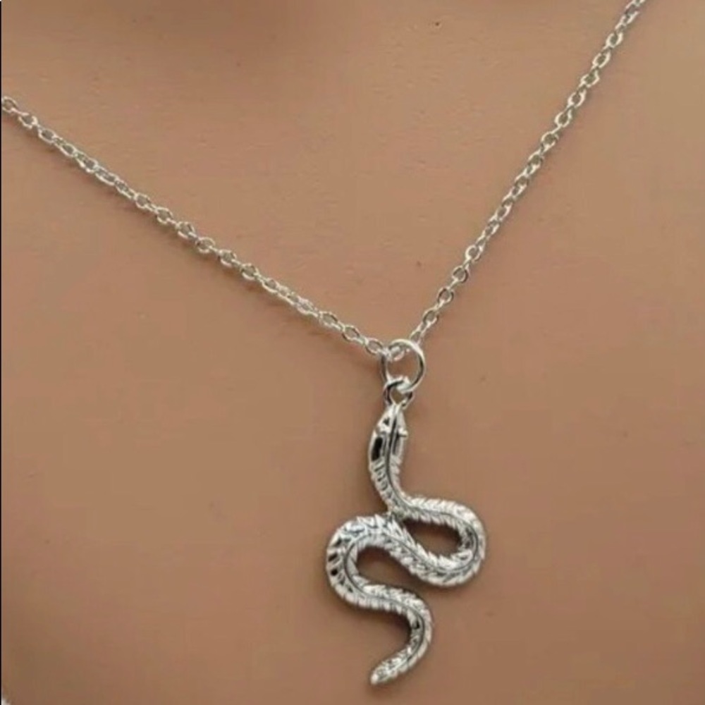 NWT Silver Color Snake Charm Necklace